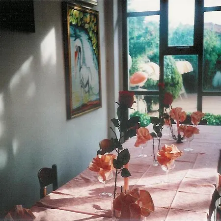 Club Italgor 酒店 里米尼